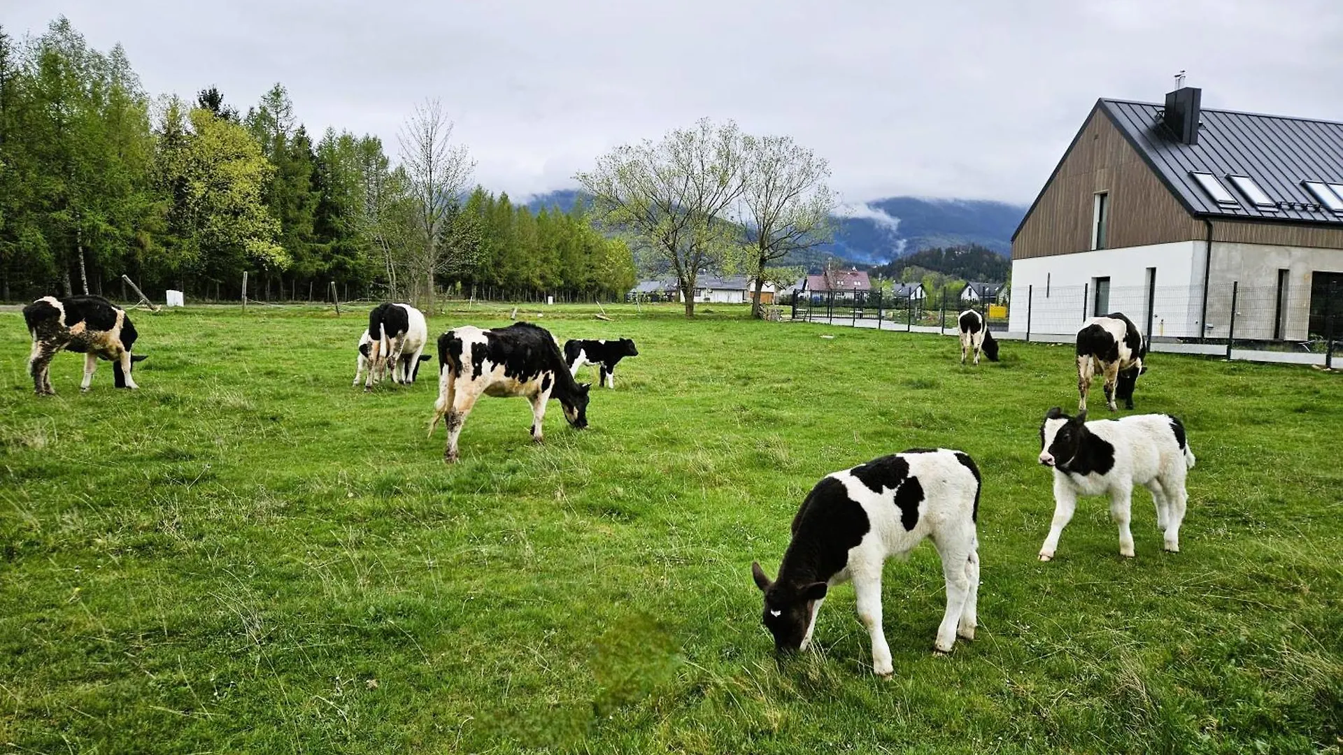 Ferienhaus Villa Zacisze W Karkonoszach Karpacz